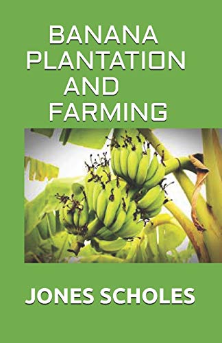BANANA PLANTATION AND FARMING: All You Need To Know About Banana And Make Huge Amount On It