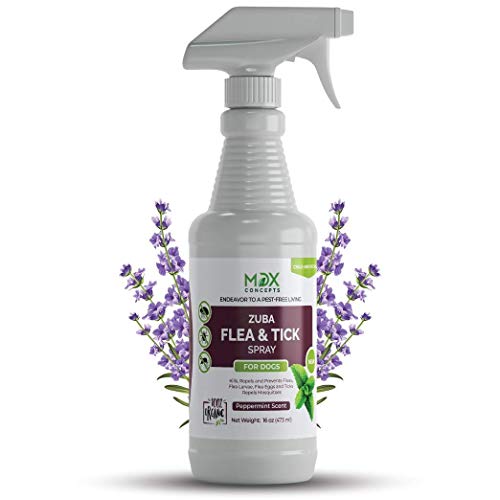 mdxconcepts Organic Flea and Tick Control Spray for Dogs - Made in USA - Peppermint Oil Flea Treatment for Dogs –Flea Repellent 100% Natural –Essential Oils – Flea Killer - Safe to Use –16 oz