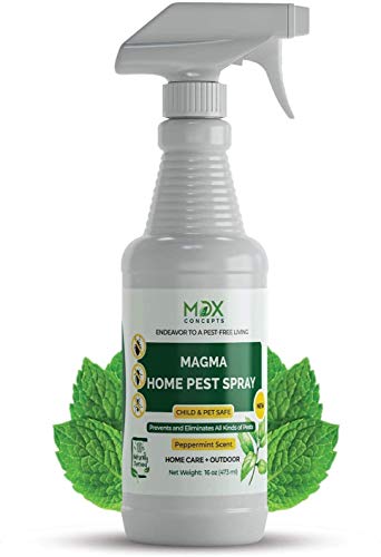 mdxconcepts Organic Home Pest Control Spray - Peppermint Oil - MADE IN USA - Kills & Repels, Ants, Roaches, Spiders, and Other Pests Guaranteed - All Natural - Pet Safe - Indoor/Outdoor Spray - 16oz