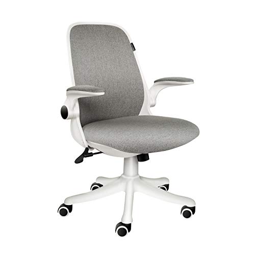 ELECWISH Office Chair Ergonomic Desk Chair Mid Mesh Back Swivel Seat Adjustable Lumbar Support Executive Chair with Flip up Armrests (Grey)