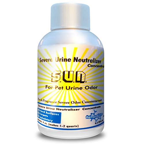 Severe Urine Neutralizer for Dog and Cat Urine - Best Odor Eliminator and Stain Remover for Carpet, Hardwood Floors, Concrete, Mattress, Furniture, Laundry, Turf by Remove Urine