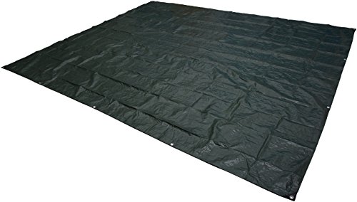 AmazonBasics Waterproof Camping Tarp - 8 x 10 Feet, Dark Green