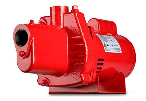 Red Lion RJS-100-PREM 602208 Premium Cast Iron Shallow Jet Pump for Wells up to 25 ft, 9.1 x 17.8 x 9.1 inches