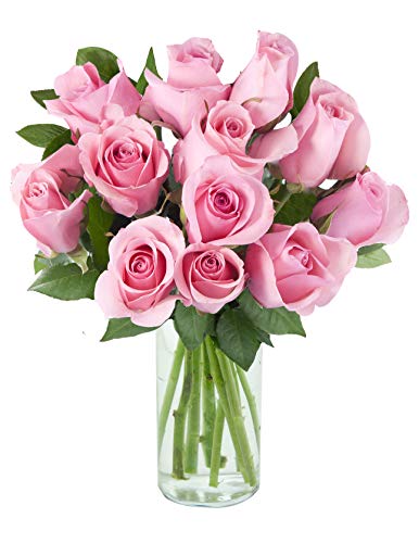 Delivery by Wednesday | Arabella Farm Direct Bouquet of 12 Fresh Cut Pink Roses with a Free Glass Vase