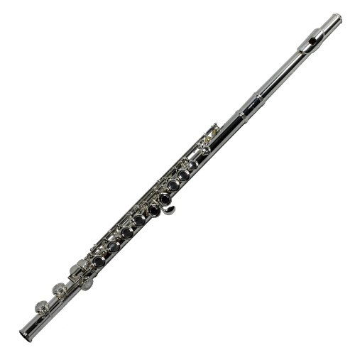 Gemeinhardt 1SP Student Flute