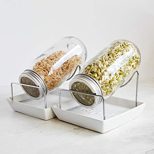 Seed Sprouting Jar Kit - 2 Sprouter Mason Jars with Screen Lids Stands and Trays - Sprout Maker to Grow Your Own Broccoli Alfalfa Beans Microgreens Sprouts - Seeds Germination Growing Kit BPA Free