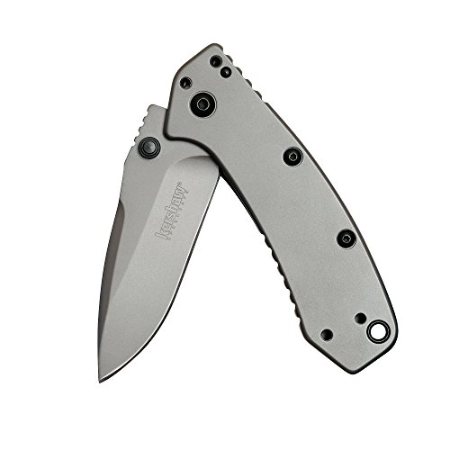 Kershaw Cryo Folding Knife (1555TI); 2.75” 8Cr13MoV Steel Blade, Stainless Steel Handle, Titanium Carbo-Nitride Coating, SpeedSafe Assisted Open, Frame Lock, 4-Position Deep-Carry Pocketclip; 4.1 OZ