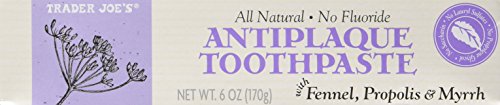 Pack of 2 Trader Joe's All Natural No Fluoride Antiplaque Toothpaste