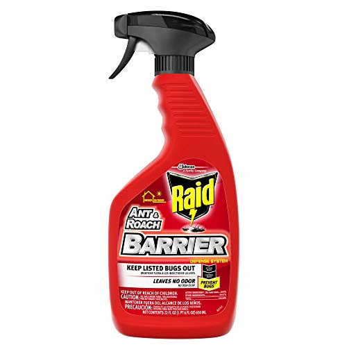 Raid Ant & Roach Barrier Spray, Killer for Listed Bugs, Insect, Spider, For Indoor & Outdoor Use, 22 Fl Oz, Pack of 1