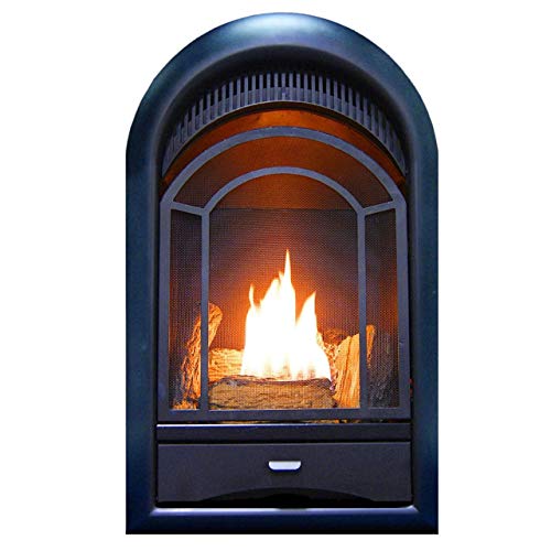 ProCom Heating PCS150T Ventless Fireplace Insert Thermostat Control Arched Door, Medium, White