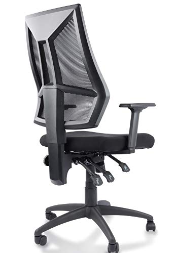 High-Back Ergonomic Desk Chair Mesh Swivel Task Office Chair with Adjustable Arms, Seat and Backrest (Black)