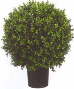 Silk Tree Warehouse Company Inc One 2 Foot Outdoor Artificial Boxwood Ball Topiary Bush Potted Uv Plant