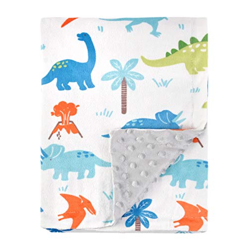 HOMRITAR Baby Blanket for Kids Super Soft Minky Blanket with Dotted Backing, Toddler Blanket with Dinosaurs Multicolor Printed 30 x 40 Inch(75x100cm)