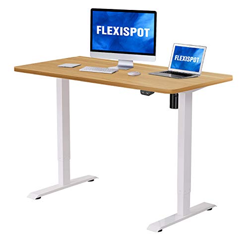 Flexispot Electric Height Adjustable Desk, 48 x 30 Inches, Sit Stand Desk Base Home Office Table Stand up Desk Standing Desk (White Frame + 48 in Maple Top)