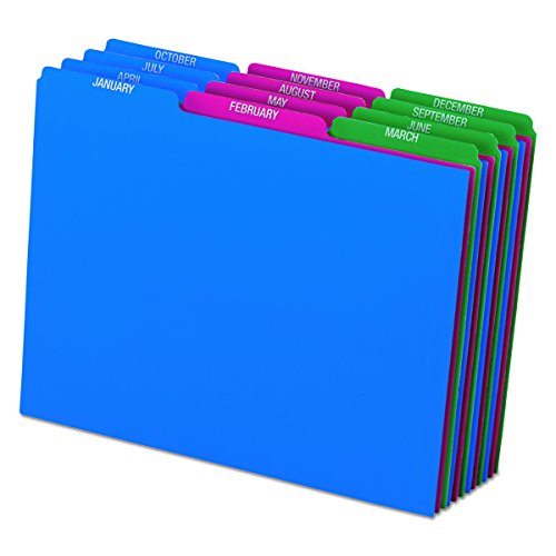 Pendaflex 40144 Top Tab File Guides, Monthly/Jan-Dec, 1/3 Tab, Polypropylene, Letter (Set of 12)