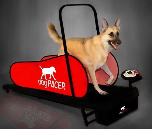 dogPACER LF 3.1 Full Size Dog Pacer Treadmill, Black and Red, Model Number: 91641