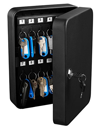 AdirOffice Key Steel Security Storage Holder Cabinet Valet Lock Box (48 Key, Black)