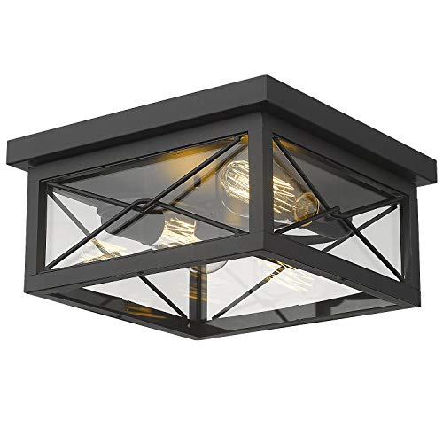 Emliviar 12 Inch Ceiling Light Fixture, 2-Light Flush Mount Ceiling Light in Black Finish, 0387B-CL BK