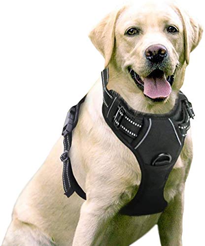 rabbitgoo Dog Harness, No-Pull Pet Harness with 2 Leash Clips, Adjustable Soft Padded Dog Vest, Reflective No-Choke Pet Oxford Vest with Easy Control Handle for Large Dogs, Black, L, Chest 20.5-36'