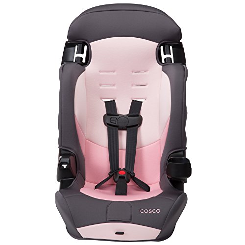 Cosco Finale DX 2-in-1 Booster Car Seat, Sweet Berry