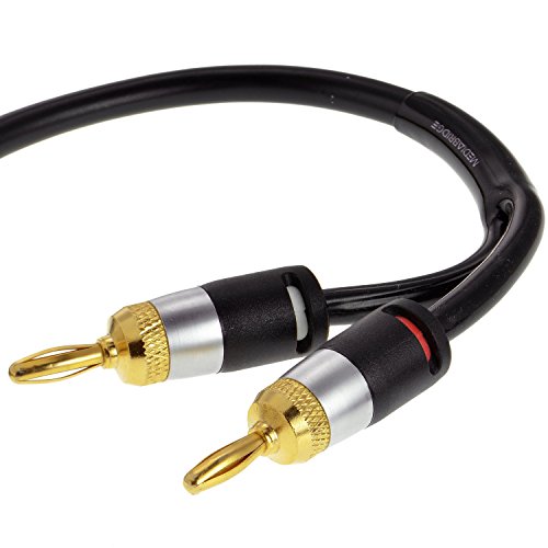 Ultra Series Speaker Cable with Dual Gold Plated Banana Tips (12AWG)