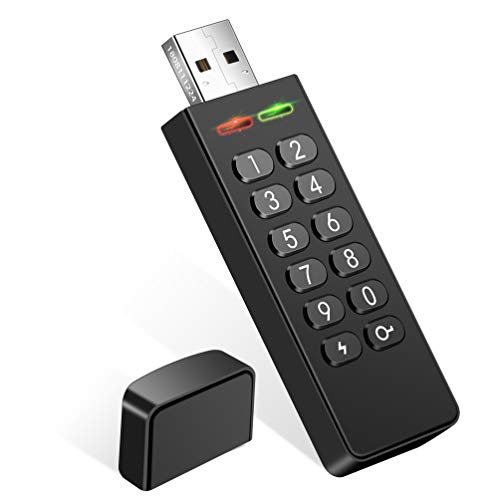 Encrypted USB Flash Drive, Keypad Secure FIPS Certified Memory Stick, Military Grade Hardware U Disk with Password Protection, Personal USB 2.0 AES 256-bit Encryption (16G)