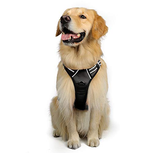 rabbitgoo Dog Harness, No-Pull Pet Harness with 2 Leash Clips, Adjustable Soft Padded Dog Vest, Reflective No-Choke Pet Oxford Vest with Easy Control Handle for Large Dogs, Black, XL, Chest 20.3-39.6'