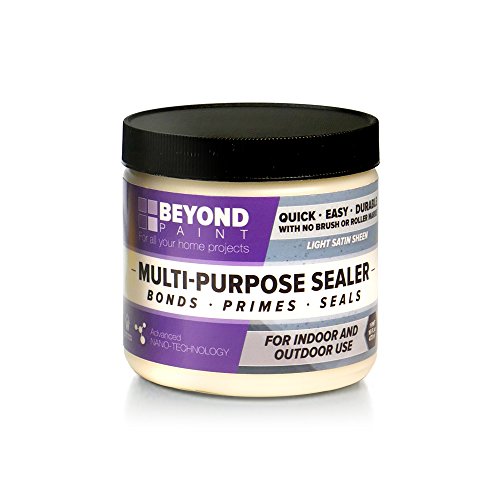 Beyond Paint BP37 Multi Purpose Sealer