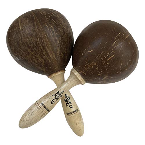 Large Coconut Single Maracas Shaker Pair (2) - Rhythm musical instrument rattle by World Percussion USA - Natural finish