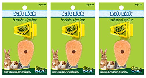Ware Manufacturing 3 Pack of Carrot Salt Licks for Small Animals