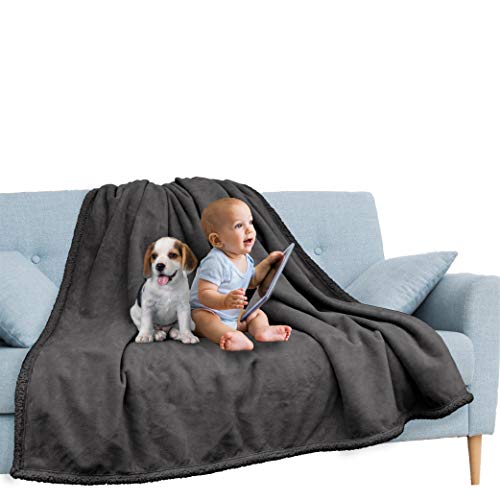PAVILIA Waterproof Blanket Throw Dark Grey Queen | Waterproof Pet Blanket for Dog Couch Protection | Leak Proof Sherpa Fleece Blanket for Bed Sofa | Liquid Resistant Large Plush Throw 90x90