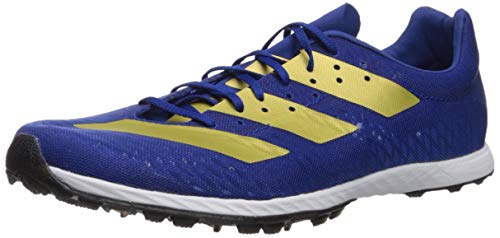 adidas Men's Adizero XC Sprint Running Shoe, Collegiate Royal/Gold Metallic/Black, 8 M US