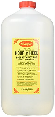 Dr. Naylor Hoof n' Heel (1 Gal ) - Traditional Foot Rot Treatment