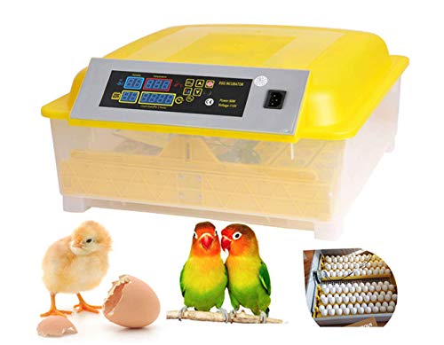 Aceshin Automatic 48 Eggs Hatcher Incubator with Temperature Control, Digital Poultry General Purpose Incubators for Chickens Ducks Birds