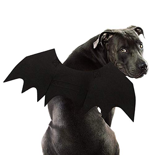 RYPET Dog Bat Costume - Halloween Pet Costume Bat Wings Cosplay Dog Costume Pet Costume for Party L