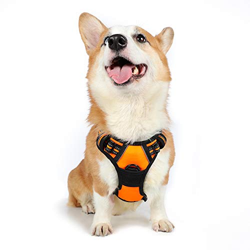 rabbitgoo Dog Harness,No-Pull Pet Harness with 2 Leash Clips,Adjustable Soft Padded Dog Vest,Reflective No-Choke Pet Oxford Vest with Easy Control Handle for Medium Dogs,Orange (M, Chest 19.1-29.3')