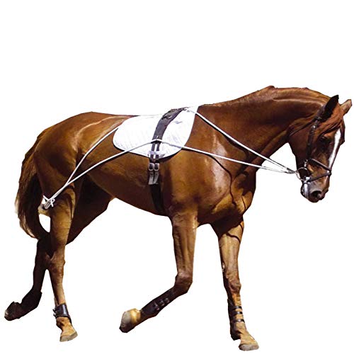 Hunters Saddlery Ultimate Horse Lunging Training Aid System Lunge Equipment (Extra Large/Draft, Black)