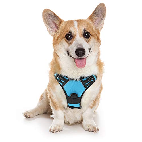 rabbitgoo Dog Harness, No-Pull Pet Harness with 2 Leash Clips, Adjustable Soft Padded Dog Vest, Reflective No-Choke Pet Oxford Vest with Easy Control Handle for Medium Dog, Blue (M, Chest 19.1-29.3')