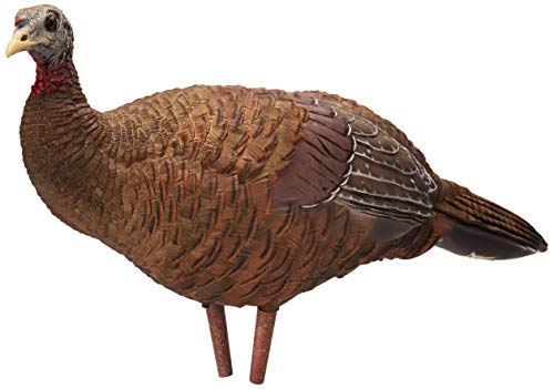 Avian-X Breeder Hen Turkey Decoy, Lifelike Collapsible Decoy With Carbon Stake and Carry Bag, Multi, One Size (AVX8008)