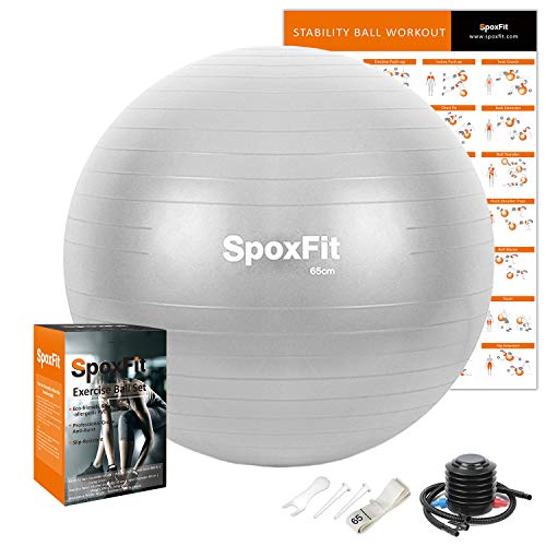 SpoxFit Exercise Ball, 65cm Anti-Burst Yoga Ball, Stability Fitness Ball for Birthing & Core Strength Training, Includes Quick Pump & Workout Poster-Silver