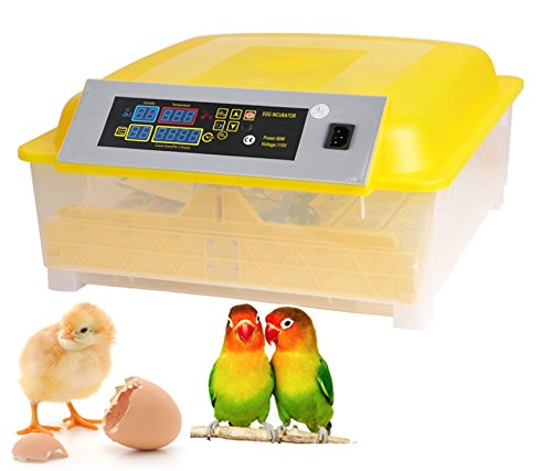kemanner Automatic 48 Digital Clear Egg Incubator Hatcher Egg Turning Temperature Control 80W US Plug