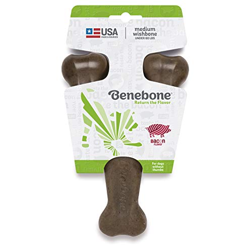 Benebone Wishbone Durable Dog Chew Toy for Aggressive Chewers, Made in USA, Medium, Real Bacon Flavor