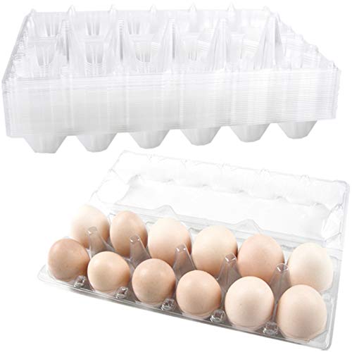 24Pack Clear Plastic Disposable Egg Tray Carton Holder for Family Pasture Chicken Farm Business Market- Holds up to 12 Eggs Securely