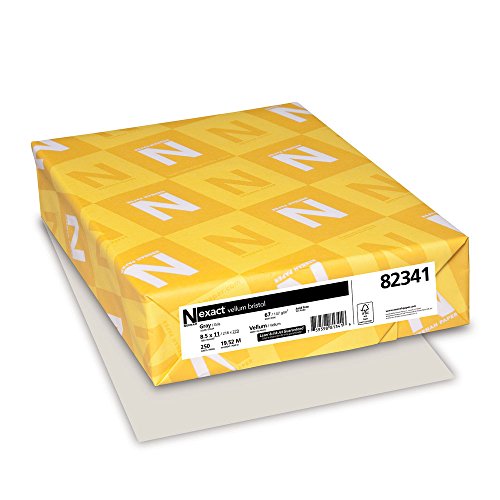 Neenah Wausau Paper 82341 Vellum Bristol Cover Stock, 8-1/2 x 11, 67-lb, Gray, 250 Sheets/Pack