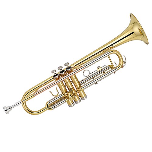 Kaizer C-Series (3000) Standard B Flat Bb Trumpet All New 2020 Model (Gold Lacquer Rose Brass)