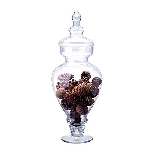 Diamond Star Clear Glass Apothecary Jar Candy Buffet Containers Footed Vase with Lid, Elegant Decorative Wedding Storage Jars (Height: 15', Diameter: 6.5')