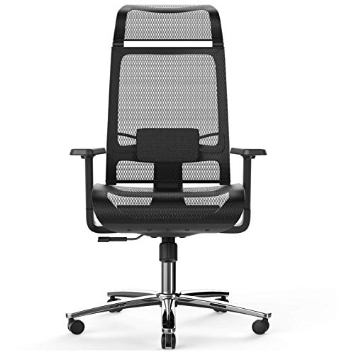 Bilkoh Mesh Office Chair Ergonomic Office Chair Computer Desk Chair, Mesh Seat and Back, Wide Headrest, Adjustable Lumbar Support and 3D Armrest (Black)