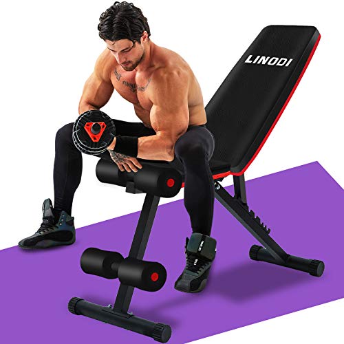 LINODI Adjustable Weight Bench, Workout Bench for Home Gym, Multi-Purpose Foldable Incline Decline Gym Bench, Strength Training Benches for Full Body Workout