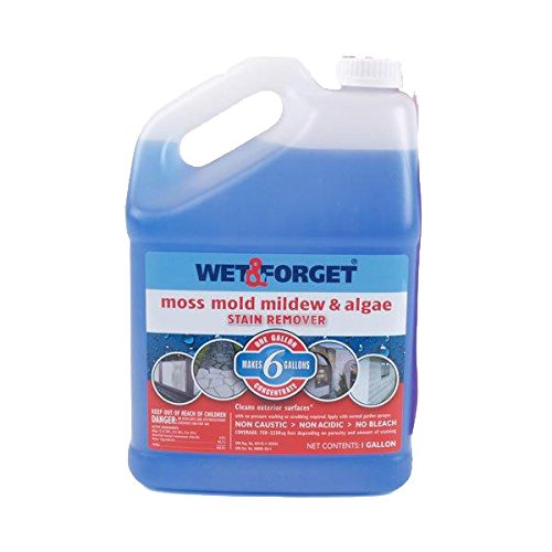 Wet and Forget 10587 1 Gallon Moss, Mold and Mildew Stain Remover