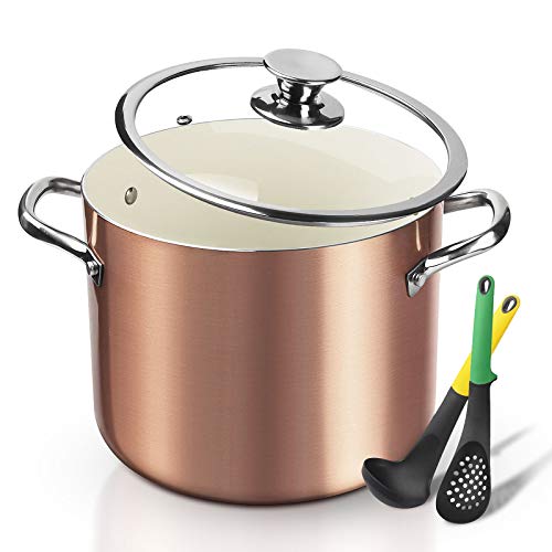 FRUITEAM Nonstick Stock Pot 7 Qt Soup Pasta Pot with Lid, 7-Quart Multi Stockpot Oven Safe Cooking Pot for Stew, Sauce & Reheat Food, Induction/Oven/Gas/Stovetops Compatible for Family Meals